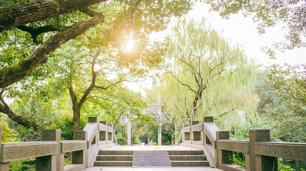 西湖风景区-赵公堤第 1 张图片
