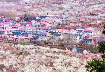 平邑九间棚旅游区第 7 张图片