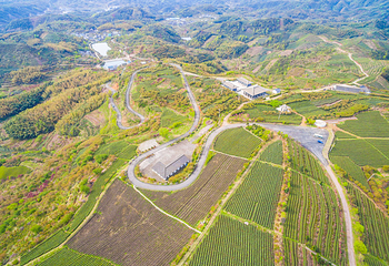 四明山地质公园第 4 张图片