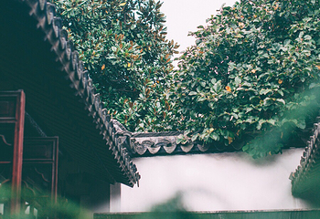 凤凰山景区恬庄古街第 40 张图片
