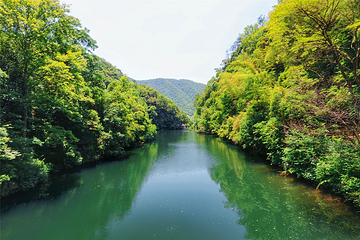 醉山野景区第 51 张图片