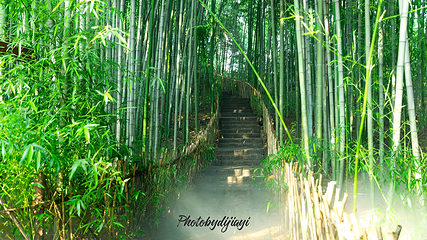 马陵山风景名胜区第 31 张图片