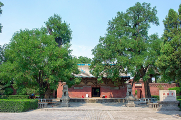 镇国寺第 9 张图片