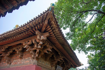 镇国寺第 21 张图片