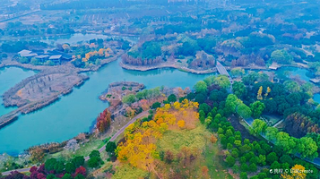 贡湖湾湿地公园