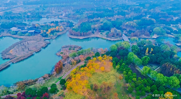 贡湖湾湿地公园