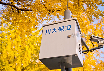 四川大学(望江校区)第 9 张图片