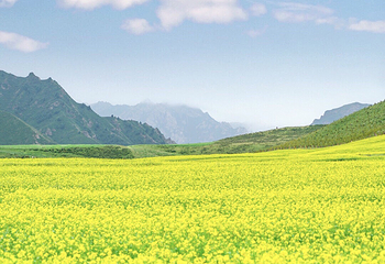 扁都口生态休闲旅游区第 35 张图片