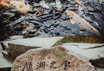 宝峰湖景区第 32 张图片