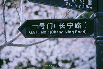 中山公园第 23 张图片