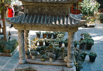 寂照庵第 53 张图片