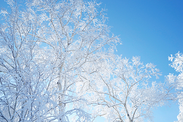 大雪山国立公园第 9 张图片