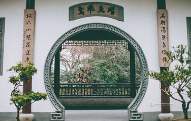 古猗园第 25 张图片