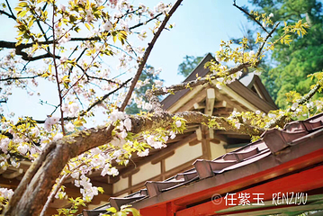 日光二荒山神社第 21 张图片