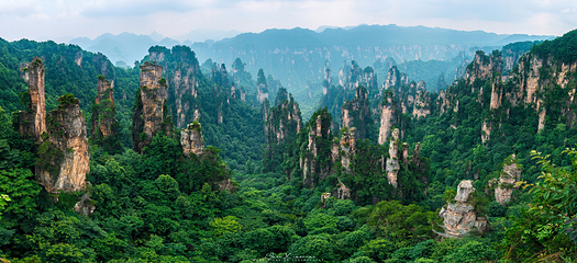 杨家界景区第 9 张图片