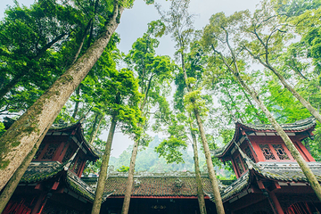 光严禅院第 3 张图片