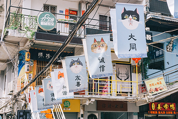 顶澳仔猫街第 17 张图片