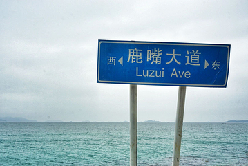 杨梅坑第 33 张图片