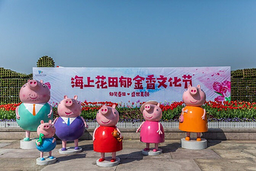 杭州湾海上花田第 27 张图片