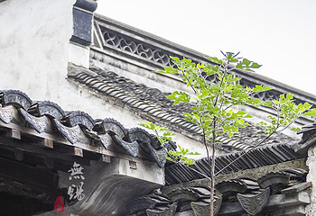 祠堂群第 13 张图片
