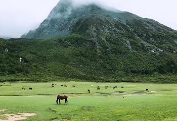 牛奶海第 14 张图片