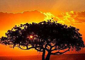 阿鲁沙国家公园