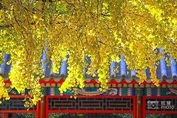 中山公园第 5 张图片