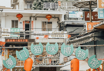顶澳仔猫街第 26 张图片