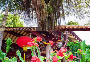 承天禅寺第 54 张图片