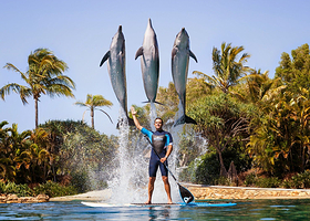 华纳兄弟电影世界