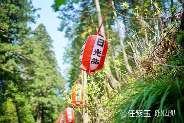 日光二荒山神社第 15 张图片