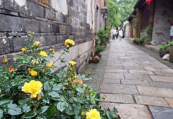 老门东历史街区第 43 张图片