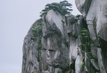 山谷流泉文化园第 30 张图片
