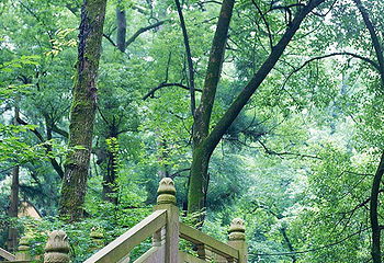 灵峰山-灵峰寺第 8 张图片