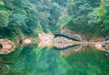 文成铜铃山森林公园景区第 21 张图片