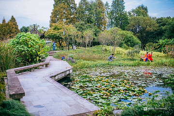 杭州花圃第 7 张图片