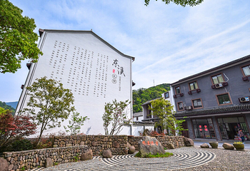 香榧森林公园第 3 张图片