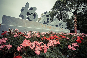 杨府山第 6 张图片