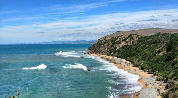黄眼企鹅登陆地