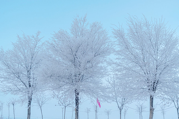 冰峰滑雪场第 22 张图片