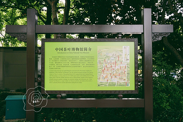 中国茶叶博物馆第 29 张图片