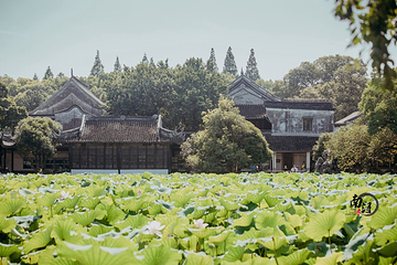 小莲庄第 45 张图片