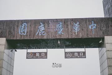 中华麋鹿园第 86 张图片
