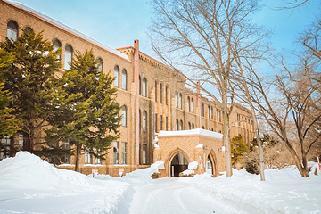 北海道大学第 7 张图片