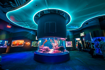 加拿大里普利水族馆第 1 张图片