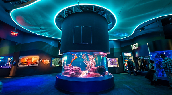 加拿大里普利水族馆