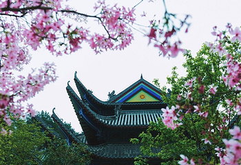 东华禅寺第 8 张图片