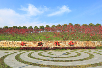 武汉木兰花谷第 1 张图片