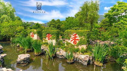 香雪海第 5 张图片