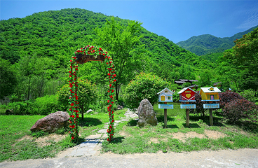 醉山野景区第 34 张图片